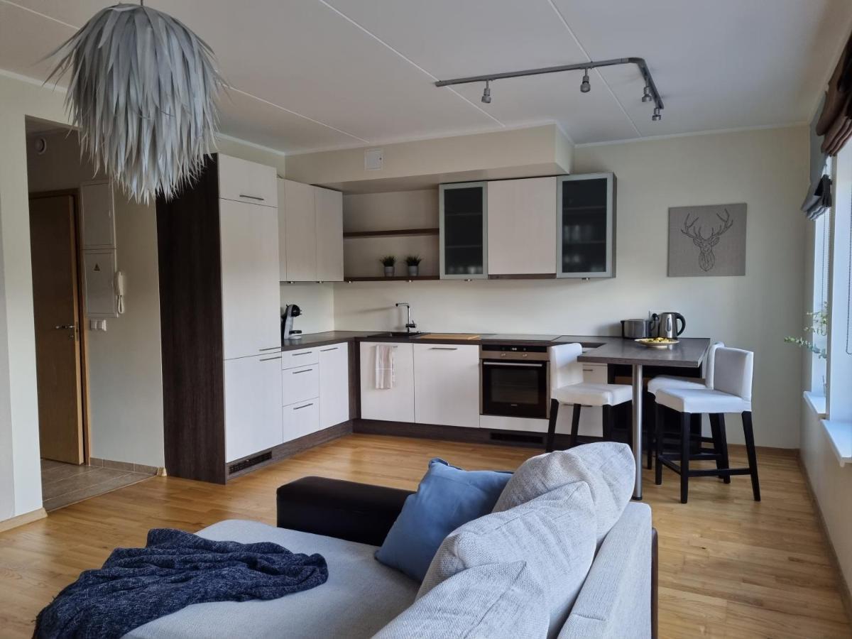 R63 Apartment With Terrace Tartu Ngoại thất bức ảnh